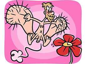 Vie mort et résurection d'un papillon 